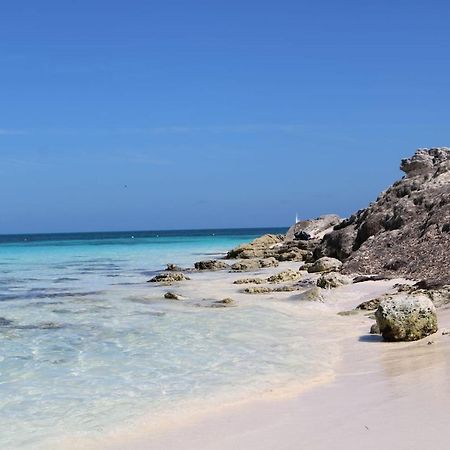 Hermoso Studio Con Alberca Zona Hoteles Cancun Cancún Exteriör bild