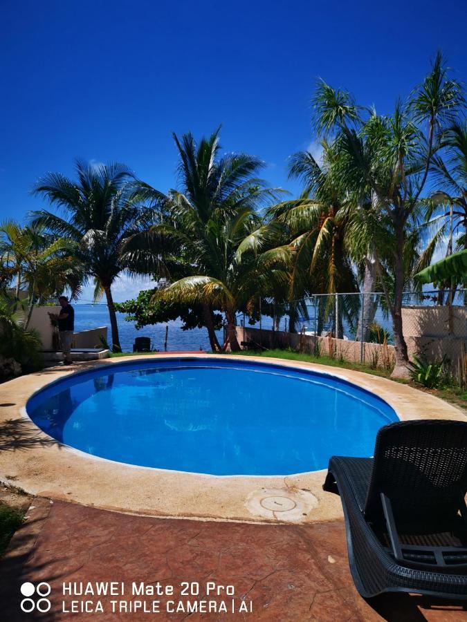 Hermoso Studio Con Alberca Zona Hoteles Cancun Cancún Exteriör bild